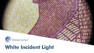 Incident Light White Doculus Lumus