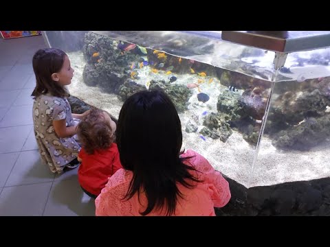 Visit To Tynemouth Aquarium | South Shields Holiday July 2021