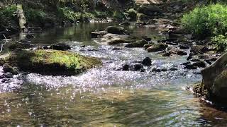 Country backwoods stream 01 -