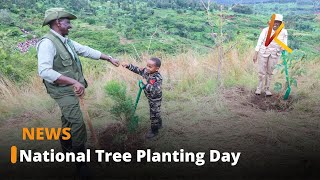 President Ruto leads the nation in a tree-planting exercise