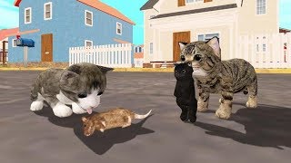 Cat Sim Online Play With Cats Android Gameplay Ep 4