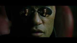 Matrix - This Is Your Last Chance (Red pil or Blue pil).wmv