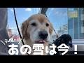久しぶりに視聴者さんに声を掛けて頂きルンルンの私達です