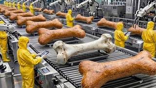 How Dog Food Is Made in The Factory: Inside The Largest Dog Food Factory (Full Process)