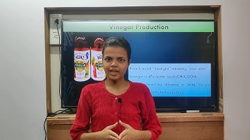 Class 10th | SSC | Sci 2 | Chap 7 | Introduction to Microbiology | Vinegar Production | Lecture 4