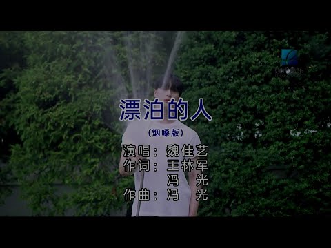 漂泊的人-魏佳艺-主唱 KARAOKE