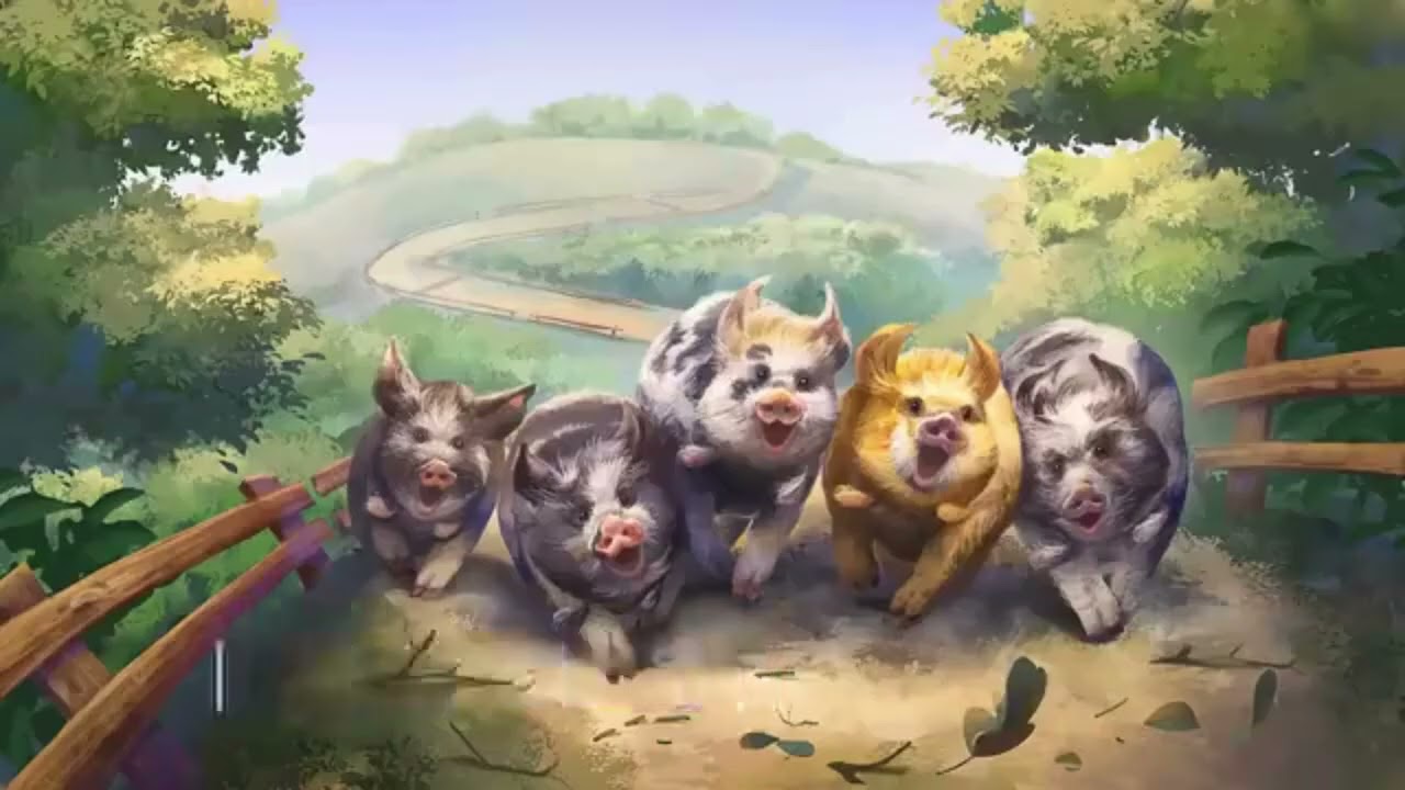 Pig Racing 10/18/2025