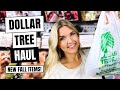 DOLLAR TREE HAUL - SHOP WITH ME FOR NEW FALL ITEMS AT DOLLAR TREE