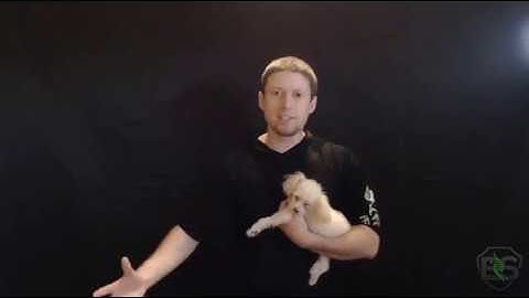 Building a Pen Testing Lab @ Home (w/ Puppies!) - Part 1: Installing Virtual Box