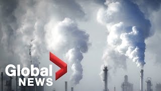 Report says key approach to tackle climate change, reduce greenhouse gas emissions is carbon pricing