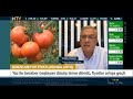 NTV | TÜRKHAL Başkanı Yüksel TAVŞAN | Finans Kafe | Gıda Fiyatları Patates Soğan