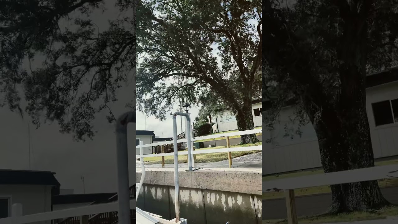 High winds in Savannah 