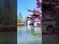 把酒叹平生 (人间半途) 蒋坤炜_958