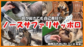 北海道の動物ふれあい Youtube