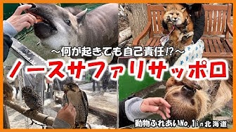 動物ふれあい Youtube