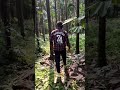 Rdx Rdx