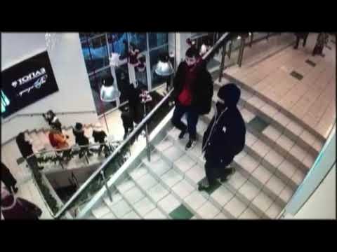 Устанавливаются личности причастных к совершению кражи денег с банковского счета