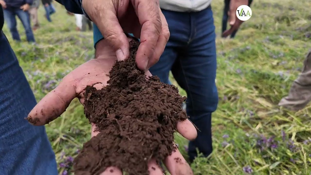 “Todavía faltan 100 milímetros para recomponer el perfil