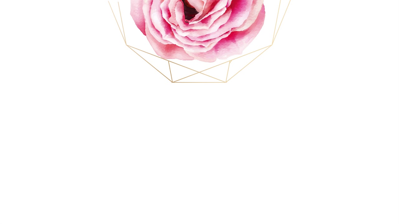 Free Flower Background - HD