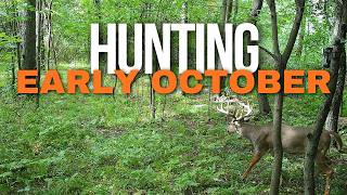 How to Hunt Early Season Whitetails | 7 Hunting Strategies