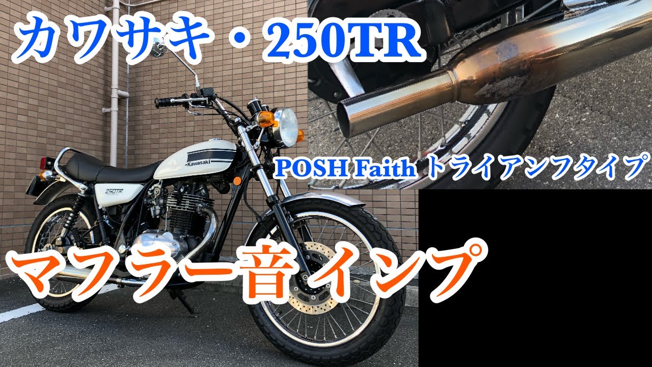 250TRマフラーステンレス製キャプトンタイプの出品です。ダウン 