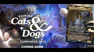 Timmy's Angry over new Secret Lair