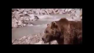 НИКОГДА НЕ СДАВАЙСЯ! НИКОГДА НЕ СДАВАЙСЯ!