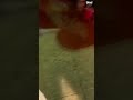 REACCIÓN CARBON