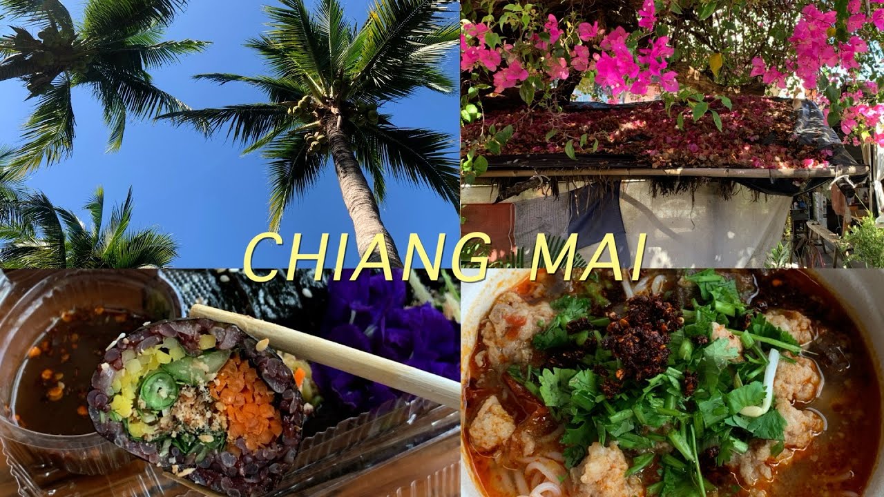 치앙마이 여행 1 / 노관심도시에서 최애여행지로.. 💖