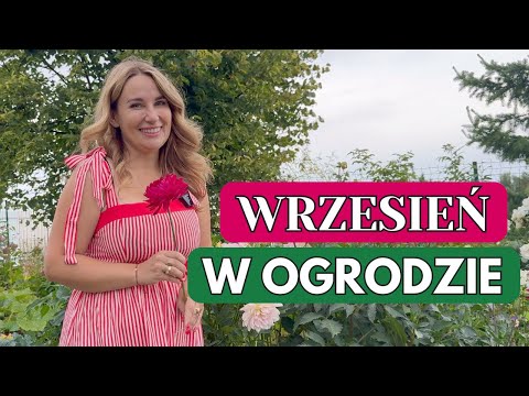 GARDEN WORK IN SEPTEMBER - DO IT NOW