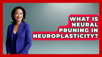 What Is Neural Pruning In Neuroplasticity? - Brain Development Hub