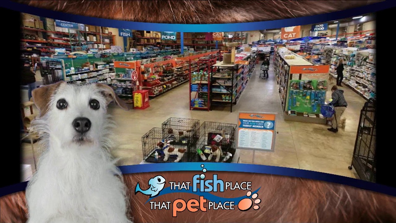That Fish Place That Pet Place 2019 Retail Experience Commercial V1