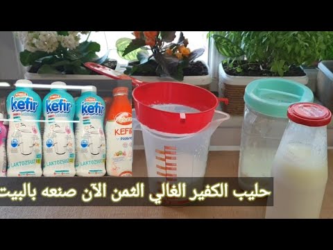 فيديو: هل تريد أن تعرف أين ينمو فطر الحليب؟