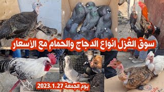 سوق الغزل انواع الدجاج وحمام الزينة والمطيار مع الأسعار 2023/1/27