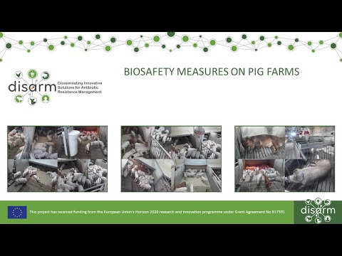 Biosafety measures on pig farms