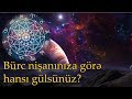 Bürc nişanınıza görə siz hansı gülsünüz Bürclər haqqında maraqlı məlumatlar.