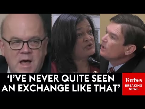 SHOCK MOMENT: Austin Scott Accuses Jayapal Of Telling A 'Damn Lie'—Then Hearing Grinds To Halt