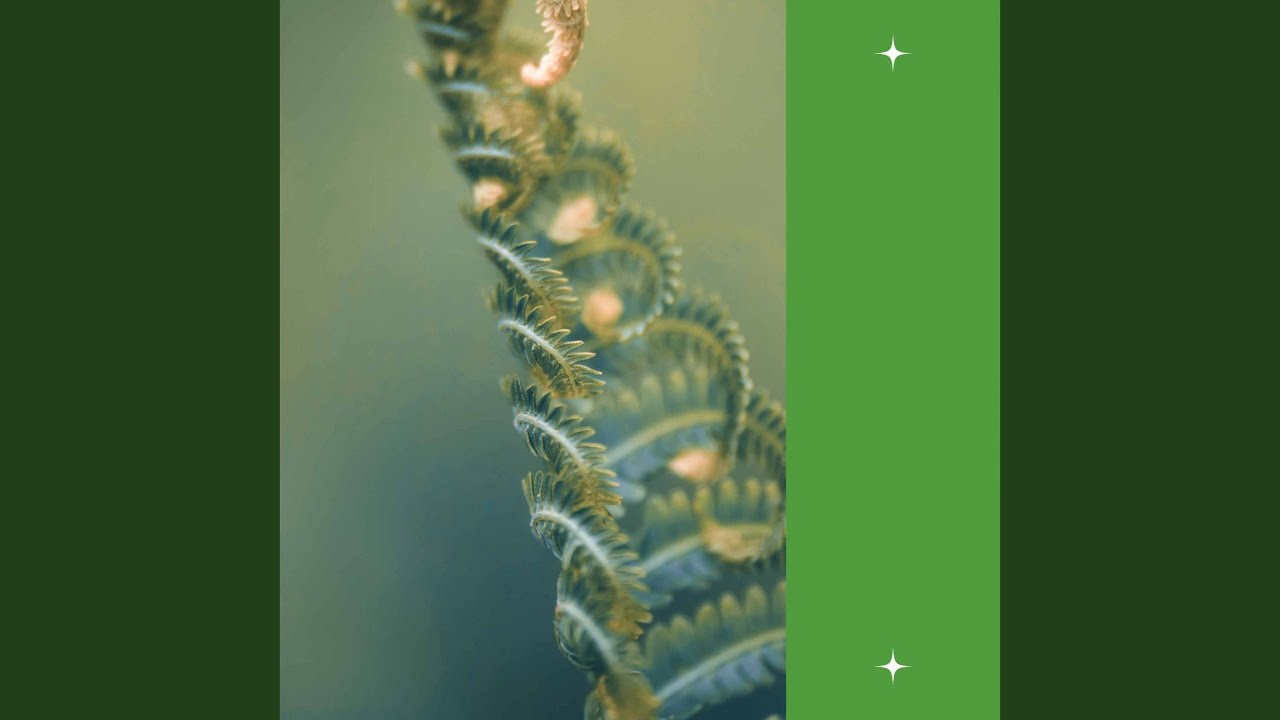 Background for Lazy Days