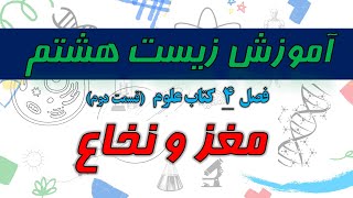 آموزش زیست هشتم - فصل 4 علوم هشتم - قسمت دوم - مغز و نخاع