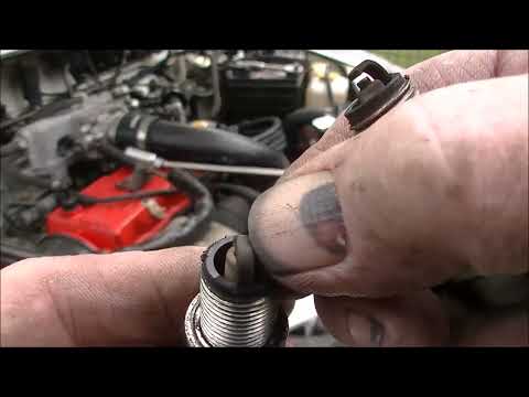 The Turbo Festiva has a big problem.