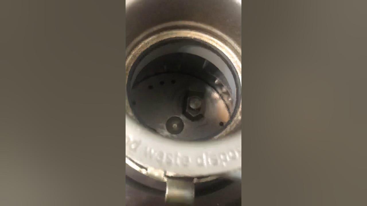 Their are no blades in a garbage disposal YouTube