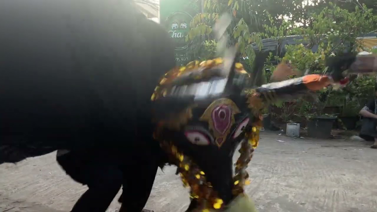 MaLarMaung Buffalo dance