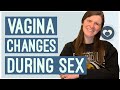 6 things that happen to your vagina during sex. Pelvic PT explains!