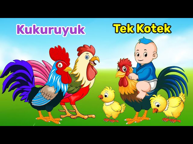 Ayam Lucu Tek Kotek Kotek Dan Kukuruyuk Ayam Berkokok - Lagu Anak Anak class=