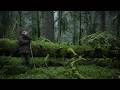 Le chant des forêts | Vincent Munier - Dès le 19 juin à la #Cinémathèqueqc