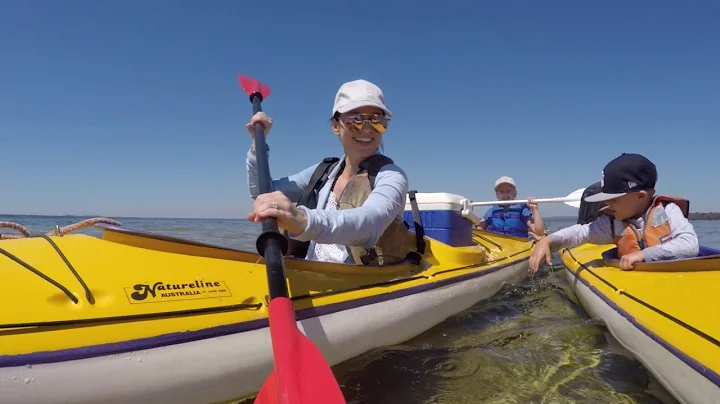 Paddle through the Noosa Everglades