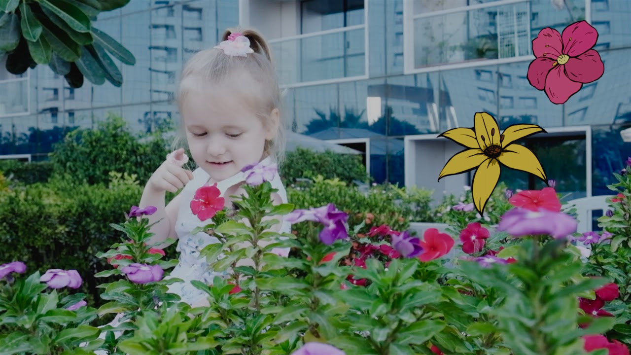 Math in my daily life