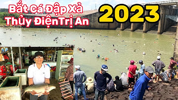 Lễ Hội Bắt Cá Ngày Đập Thuỷ Điện Trị An Đóng Cửa Xả Lũ Năm 2023 #ChợViệtTV