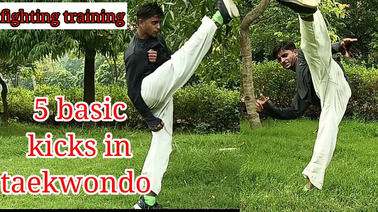 5 basic kicks in taekwondo/kicks training for selfdefence/fitter