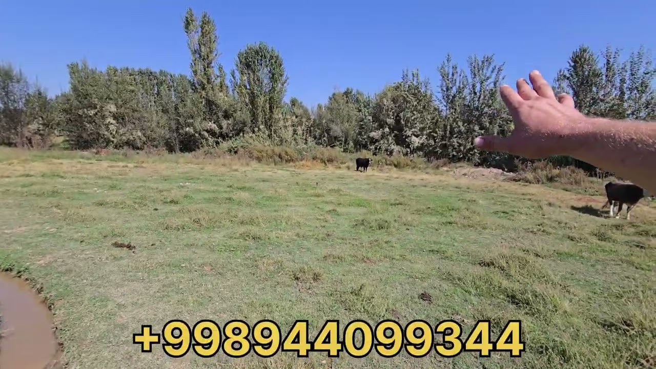 Жудда зор жойдан уй жой сотилади 